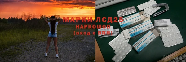 шишки Новокубанск