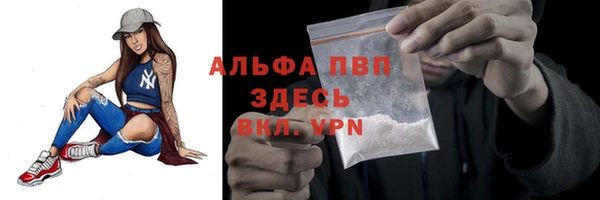 шишки Новокубанск