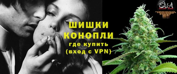 шишки Новокубанск